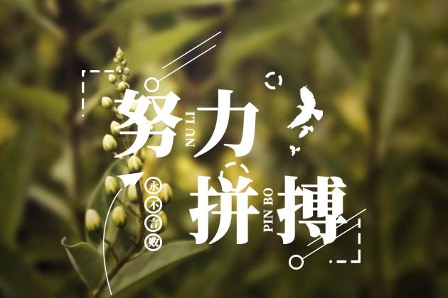  給我一份信任，還你10分滿意(圖3)